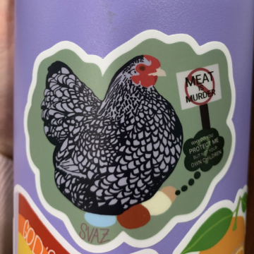Why Protect the Chickens but Not Our Babies Sticker